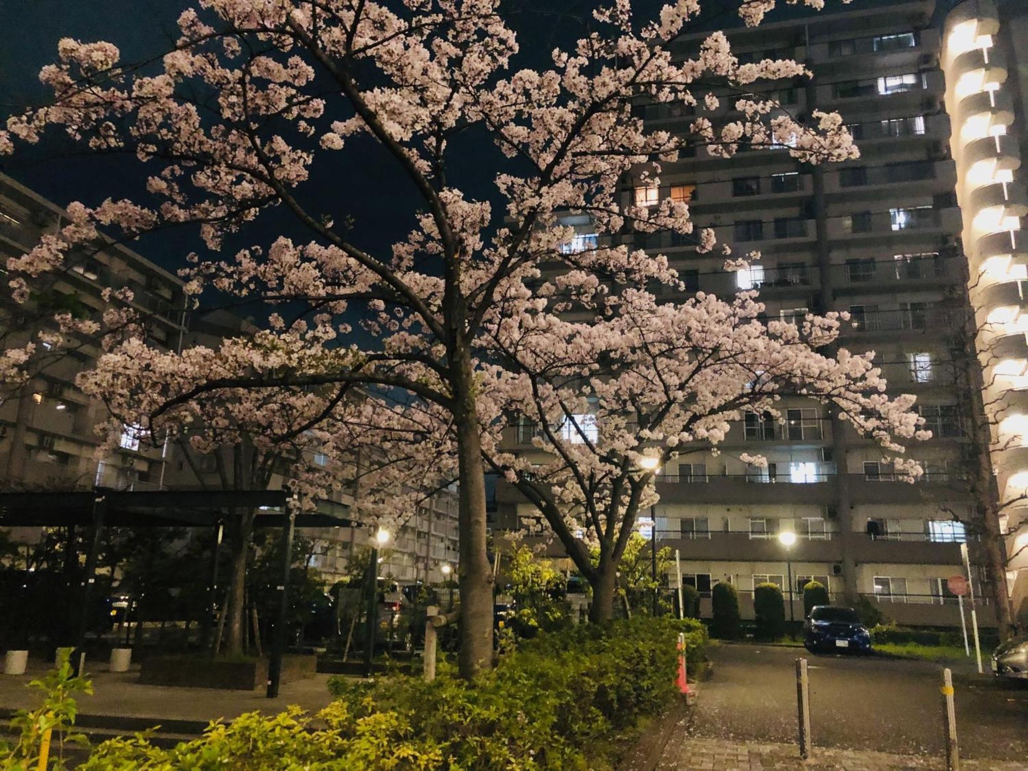 Jl 東京 House - 駐車場付き築浅のまるごと貸切住宅 東京都 外观 照片